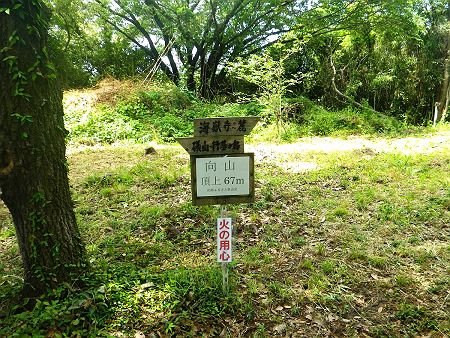 向山（67m）に到着。こんな標高だけど暑くて汗だくになっているんだよね