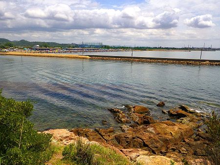東側の海水浴場には人が溢れかえっていて気持ち悪いくらいだった。みんな潮干狩りでもしてるのかわからないけど人気なんだね