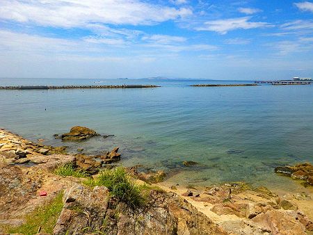 太平洋にしては珍しく綺麗な海だと思う。日本海と違って太平洋は串本や淡路島南端くらいしか綺麗な海は知らなかった