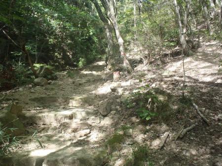 ここの分岐に注目