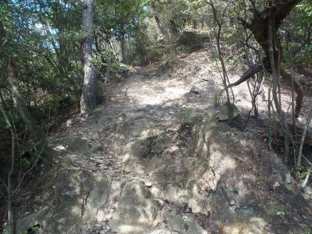 急登な尾根の登りになる
