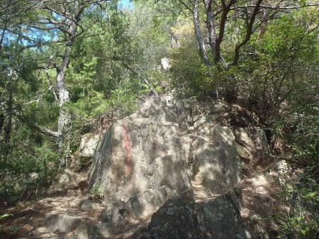 岩場の登りになる