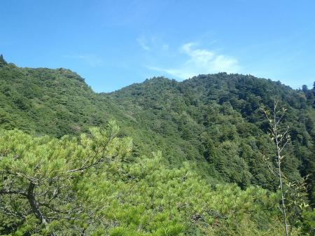 摩耶山のピークが見える