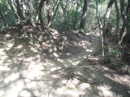天狗道（六甲縦走路）との分岐（行者尾根分岐）。右へいったん下ることになる。