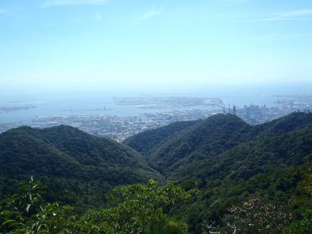 イノシシのある展望地より