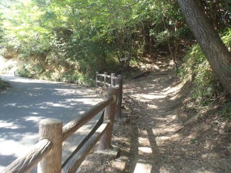 道路を避けて六甲縦走路を歩く