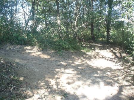 一つのピークに登ると分岐。左へ登ると摩耶別山