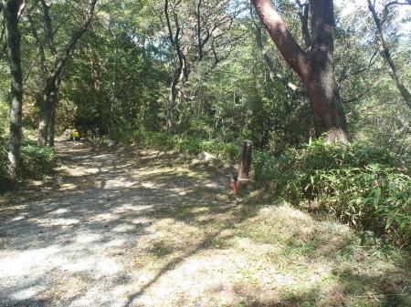 湖畔はこれを右へ下る