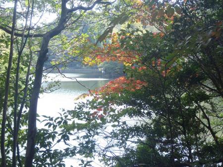 シェール槍に向う途中。9月末だが紅葉になっている木があった