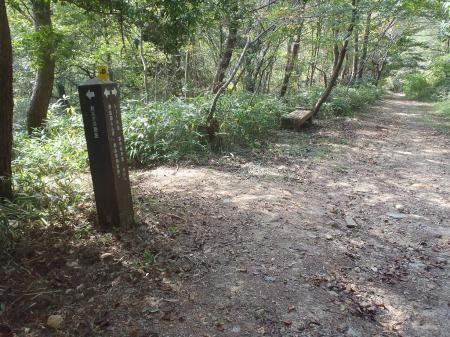 シェール道よりここを左へ