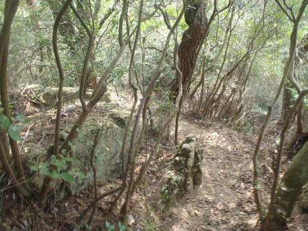 続いて三枚岩のほうへ降りていく