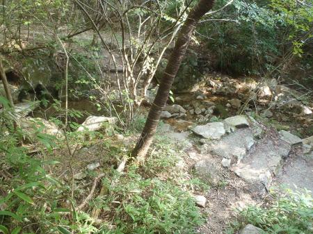 徳川道との分岐