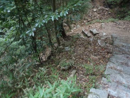 沢まで急な階段の下りがある