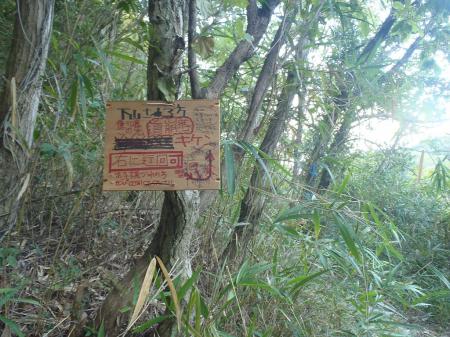 崩壊箇所があるようだが、迂回路使わず直進