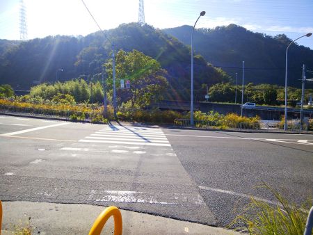 信号を渡って国道163号線の高架下を通っていく