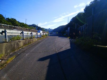 少しの間だけど国道163号線沿いの道を歩いていく