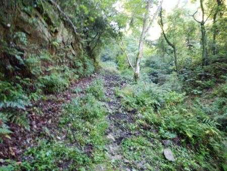 しばらく沢沿いの登山道を登っていく。雨上がりだからなのかかなりぬかるんでいた