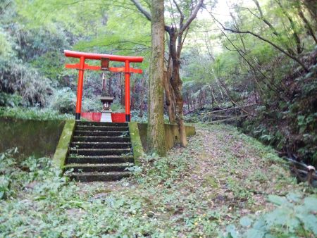 結構綺麗な鳥居がある。ここは何か祀られているんだろうか！？