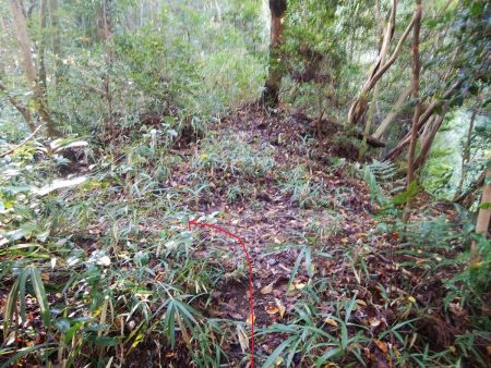 尾根の分岐があるのでここで方角的に左に曲がる。このまま尾根に登っていくと別のところへ行ってしまう