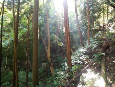 トラバースの道を歩いて堤防をこえてさらに進んでいく