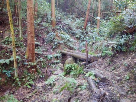 ここで木の橋を渡るんだけど、この木が湿っていてかなり滑りやすいので慎重に渡った