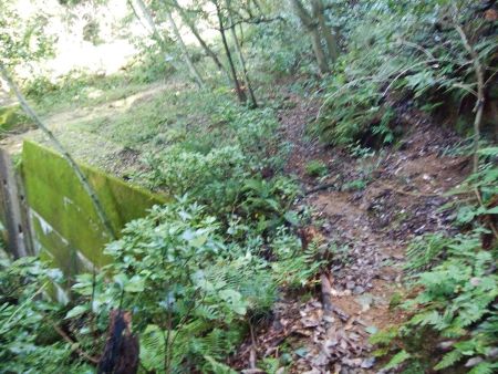 下ったところに堤防があって先に沢があるので渡ると尾根の登りになる