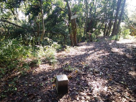 眼鏡山(361.2m)に到着。山頂には三角点もありプレートもあった