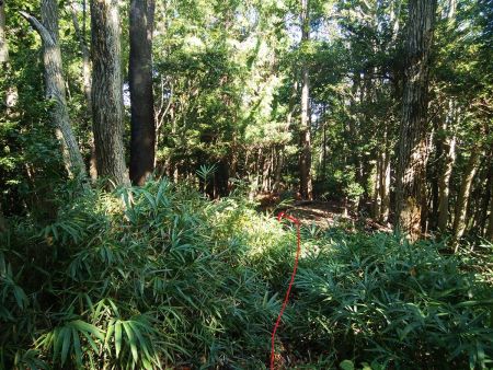 さて、さっさと下山することにした。尾根を直進しても下れるルートがあるみたいだけど時間制限があるのでピストンすることにした。左側の尾根を下るので間違えないように注意