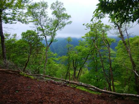 展望が少し見えたけど、向こう側の山もガスってる。まあ今日は展望なしということで・・・
