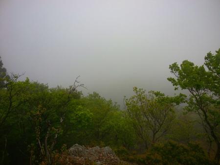 ここはおそらく展望ポイントだろうけど、ガスって何も見えない。ちょっとぐらい展望があってもよかったんだけどね