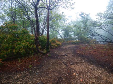 山頂手前の分岐点。というか、山頂はすぐそこだった