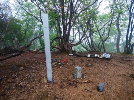 京都最高峰・皆子山山頂(971.5m)に到着。予定より早く着いた