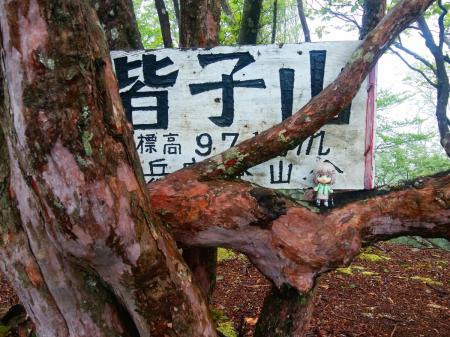 せっかくなので雪村あおいちゃんを撮影してみる