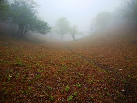 時間が余ったので付近を散策していたら、山頂直下に高原地帯のような場所があった。ここは冬期待できそう！