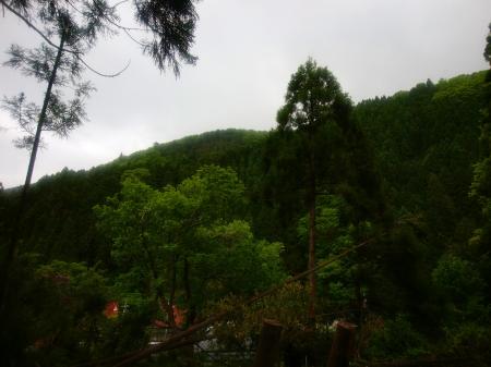 ここまで下りてくるともうガスってないのね・・・やっぱ上だけか！？