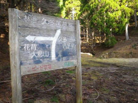 ここの分岐で花背のほうへいくと全く別のところに行ってしまうのでこのまま林道を歩いていく