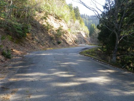 それにしても長い林道が続く。登山というよりほとんど林道歩きになってる。標高もそれなりに稼げてきている