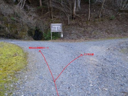 ここで林道の分岐になって右へ行くと八丁平なんだけど、左へ行って尾根を登ると最短で峰床山山頂へ登れるので、ここは左に行くことにした。まずは峰床山の山頂をさっさと登ってしまう