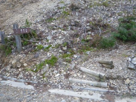 案内板の先から道標があって尾根に登っていける登山道があったのでここから登っていく。やっと林道が終わって登山道になる