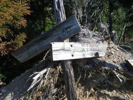 ここで小ピークらしきところに登り切ったら道標とベンチがあった。峰床山まであと0.4kmと本当に直下まで登ったのね