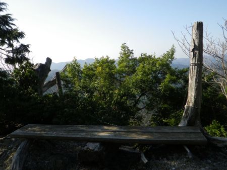 これが展望ベンチなのか、展望はほとんどないに等しい