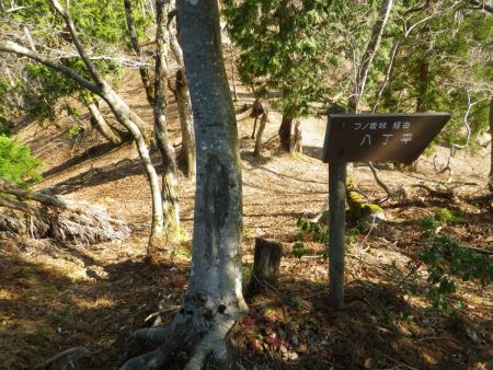 展望ベンチから少し下ると八丁平への分岐があった。しかし先に峰床山の山頂へ行くので直進。ここは後で戻ってきて八丁平へ行く