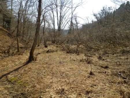 完全に谷へ下ると、なんか悪魔が出てきそうな雰囲気の場所になった。まあ新緑時期になると葉が生えるんだろうけどね