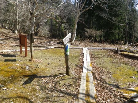 ここで八丁平に到着。このまま右にいけばいいんだけど、せっかくなので八丁平をぐるっと歩いてみようと思うので左へ行く