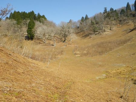八丁平の奥になるのか、ここはいい雰囲気の高原地帯になっている。冬だとスキーで遊べそうな斜面だね