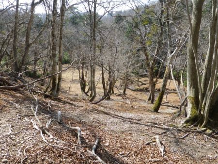 八丁平の湿原はこんな感じかな！？あまり湿原に興味がないというか、冬だと全部雪で埋まるんだろうね