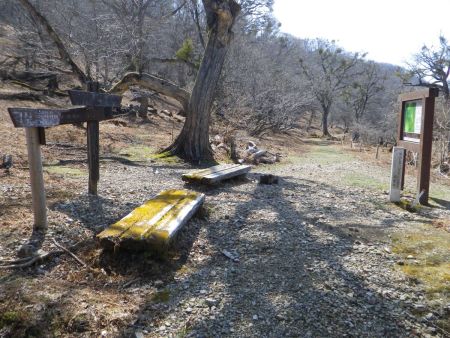 途中でベンチに到着。ここは中村乗越の分岐で江賀谷から登ってきたらここに出てくるみたい