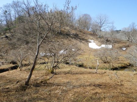 湿原はこの付近で終わりみたいだけど小川は続いていくんだね