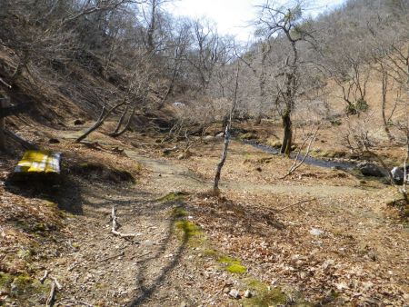 八丁平の真下にあたる場所。ここで右に行ってフノ坂峠に戻ると最初の林道に戻るんだけど、もうあの林道は歩きたくないので、ここを直進して別ルートで戻ることにした