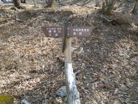 道標にも直進すると市有林管理舎と記載されている。それにしてもあちこちにルートのある山だね